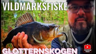 Fiske i skogen | Färsk abborre på stormkök | Vildmark nära stan 🌲