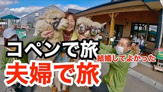 コペン夫婦旅 ゴール アップルパイとファームとリゾートホテル