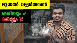 Rabbit Farming Malayalam | മുയൽ വളർത്തൽ സംശയങ്ങൾക്കുള്ള മറുപടി