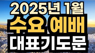 2025년 예배대표기도문ㅣ 1월 수요예배기도문 예문ㅣ1월 1주 수요기도문ㅣ1월 첫째주 대표기도ㅣ대표기도가 어려운분들을 위한 기도예시문