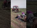 smart labor work shorts viral modernfarmer youtbeshorts agriculture32