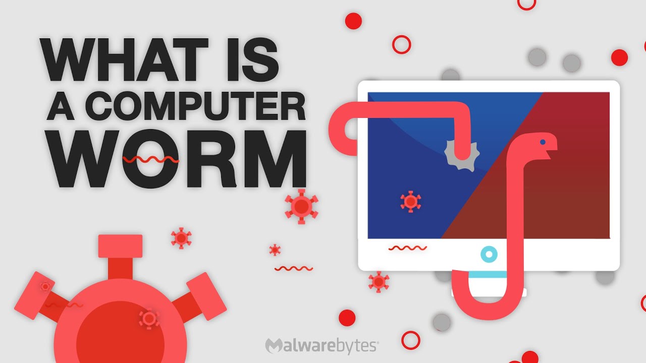 What Is A Computer Worm And How Does It Work Easydmarc 58 Off