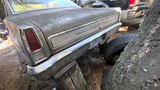 The 66 Chevy II Nova SS ‘barn find’.