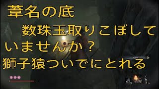 隻狼～SEKIRO～【ボス攻略】獅子猿(葦名の底)とついでにとれる数珠玉の場所紹介。見えてるのに取れなかった人は必見。取りこぼさないでね。