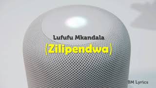 Diamond Platnumz, Rayvanny, Lavalava, Rich Mavoko – Zilipendwa Lyrics HD