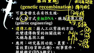 10502基礎生物ch4 4 01基因重組二簡