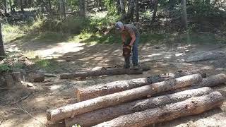 Calvin wood cutting