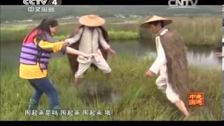 20140305 走遍中国 系列片《探秘新发现》（5）水中绿巨人