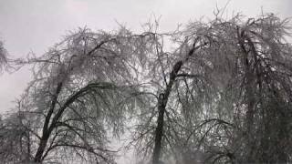 January 2009 - Trees breaking after Northwest Arkansas ice storm