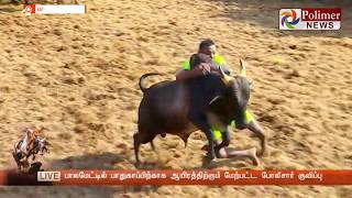 பாலமேடு ஜல்லிக்கட்டு - பாயும் காளைகள் | PalameduJallikattu2020