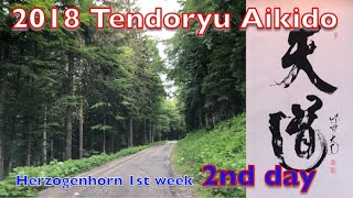 2018 Tendoryu Aikido seminar in Herzogenhorn, Germany 1st week 2nd day