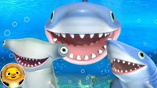 Shark Song! | Nursery Rhymes & Kids Songs! | Videos For Kids | ABCs and 123s