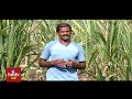 చెరుకు రసంతో రూ.5 లక్షల సంపాదన get high level of profits with sugarcane juice hmtv agri