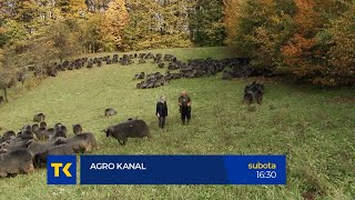 PREPORUČUJEMO | AGROKANAL | 16:30 | 05-11-2022