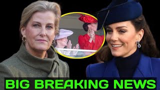 ROYALS IN SHOCK! Duchess Sophie celebrated her 60th birthday by \