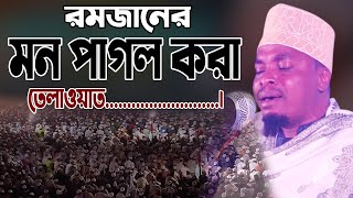 ক্বারী রেজা আইয়ুব ২০২৩ | শায়খ ক্বারী রেজা আইয়ুব - তানজানিয়া Qari Reza Ayoub Africa New Tilawat 2023