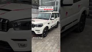 2 Tarah Ke White Color Scorpio Classic😍😘#viralvideo #mahindrthar #scorpio #thar #trending #suv