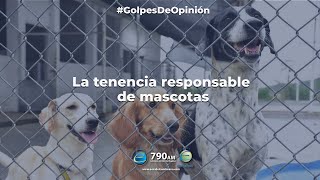 #GolpesDeOpinión | La tenencia responsable de mascotas