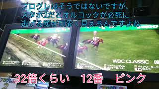 旧初代ネタ.2　初代４戦目から特別枠３回ワールド挑むようです。スターホースプログレスリターンズ　ふじまるゲーム