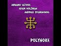 polynoke