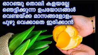 ഓറഞ്ച് തൊലി കളയല്ലേ അത് കൊണ്ട് ഒരുഗ്രൻ idea കാണാം ! Amazing Benefits of Orange peels   #kitchentips.