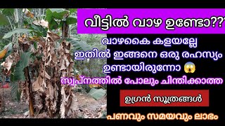 ഇനി ആരും വാഴകൈ വെറുതെ കളയല്ലേ ഇതുവരെ അറിഞ്ഞില്ലല്ലോ /Kitchen Hacks