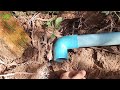 the plumber s secret trick how to install pvc drain water pipe in bath room anyone can do it