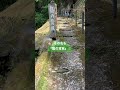 霧島市 塩浸温泉 龍馬公園 坂攻め shorts 階段というか石段 龍に乗れたかな