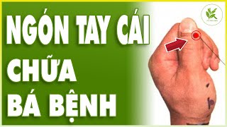 Kì Lạ - NGÓN TAY CÁI CHỮA BÁ BỆNH | Viêm Phổi - Viêm Phế Quản - Viêm Họng Mãn Tính - Sốt Cao | TCL