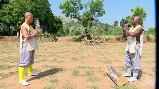 Shaolin 72 skill of Tie Bi Gong