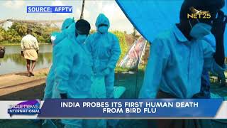 India probes its first human death from bird flu