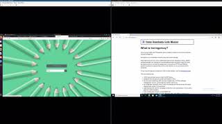 boringproxy demo