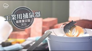 【DIY大神】寶特瓶自製捕鼠器　牠偷吃花生醬滾下來 | 蘋果新聞網