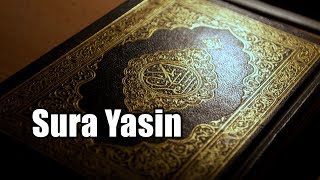 Sura Yasin | Holy Quran Sura No:36 (Sura Yasin) Quran Tilawat With Bangla Translation