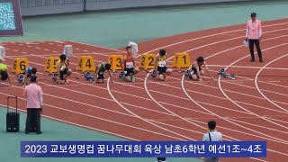 2023 교보생명컵 꿈나무대회 육상 남초6학년 100m 예선1조~4조#안대성#설지환