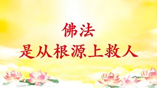 卢台长【节目录音】佛法是从根源上救人