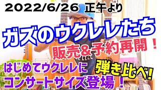 【弾き比べ】2022/6/26 正午よりガズのウクレレたちの【販売＆予約再開】はじめてウクレレコンサートサイズ新発売！ #GAZZLELE #G_LABO #ウスレレ