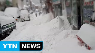 울릉도 대설경보 적설량 70cm 넘어 / YTN (Yes! Top News)