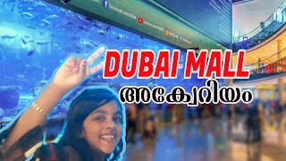 Dubai Mall Aquarium 🐬🐟 | ദുബായ് മാൾ അക്വേറിയം 🐋🦈🐠