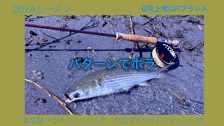 〜これって、ある意味パターンかな？〜Flyfishing 2024年9月浜名湖クロダイ