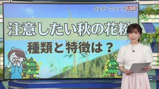 【約4割が花粉症!?】注意したい秋の花粉 種類と特徴は