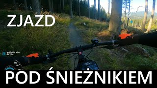 Singletrack Glacensis. Pętla pod Śnieżnikiem. Zjazd