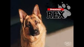 Kommissar Rex S01E11 Tödliche Teddys