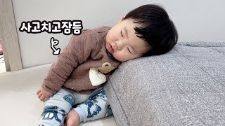 울타리 힘으로 다 뜯어버린 노랑이! 아들 육아 너무 빡센거 아닙니까?