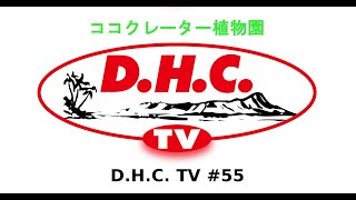 ハワイ：ココクレーター植物園　２０２０年８月