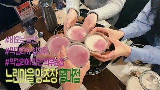 🍶막걸리에 와인 띄우는 집 | 느린마을양조장:홍대점🍷