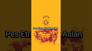 Cimbom Galatasaray avrupanın fatihi sarı kırmızı aslan pes etmedi bak asla