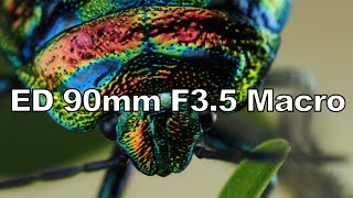 マイクロフォーサーズならではの4倍マクロ ED 90㎜ F3.5 Macro