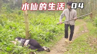 怀孕女孩体力不支晕倒在荒郊野外#纪录片 #农村生活 #野外生存