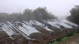 台風15号　上陸後の様子　浜松市にて